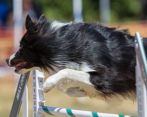 20160619-CCKC-0668.jpg