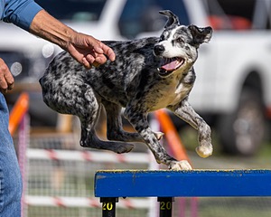 20230917-PVKC-2477.jpg