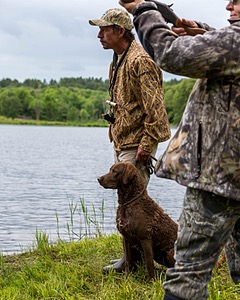 20170603-SHRW-1390.jpg