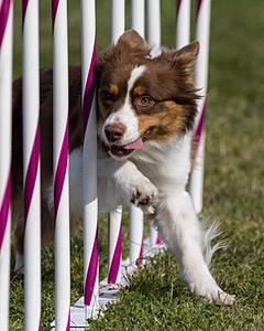 20230916-PVKC-1327.jpg