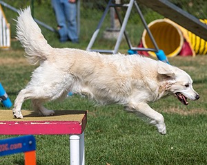 20200819-0737.jpg