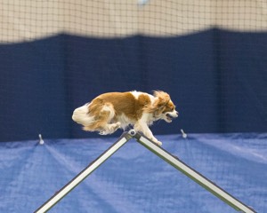 20150321-LEAP-1608.jpg