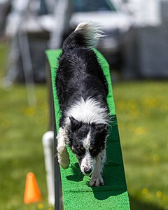 Jaxx Erskine