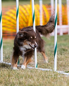 20150614-CCKC-0073.jpg