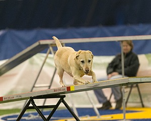 20150321-LEAP-0922.jpg