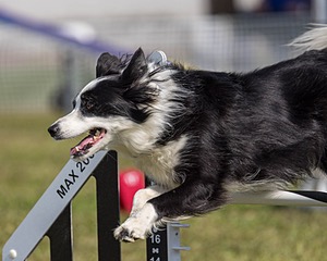 20220918-PVKC-0681.jpg