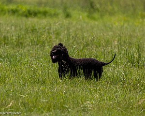 20220613-WD-0323.jpg