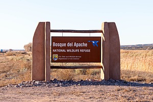 20151206-1724.jpg