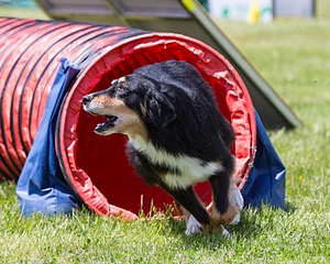 20160514-NEAT-0770.jpg