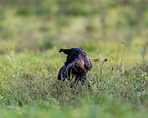 20160924-SHL-0010.jpg