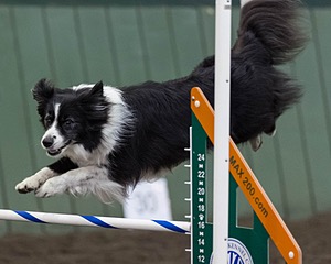 Breeze Schunk