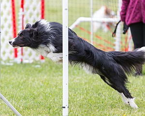20160515-NEAT-0728.jpg