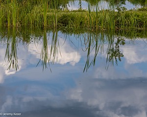 069A8831.jpg