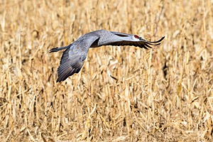 20151206-1860.jpg