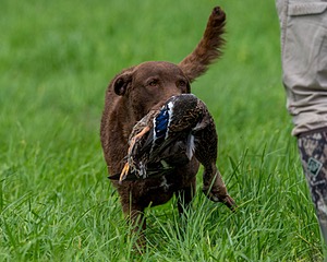 20170603-SHRL-0657.jpg