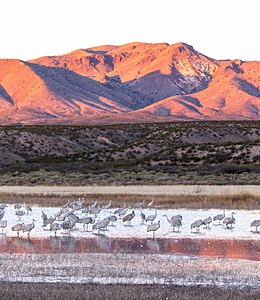 20151206-0947.jpg