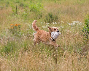 20130713-SHL-0968.jpg