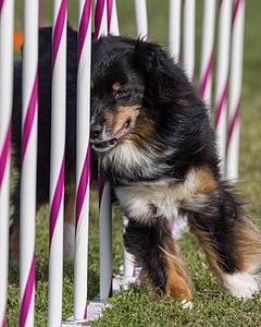 20230916-PVKC-1348.jpg
