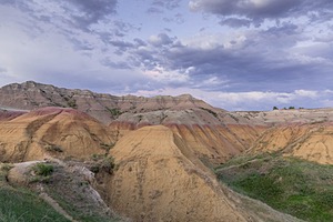 20200617-1091.jpg