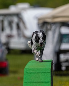 20170521-NEAT-0690.jpg
