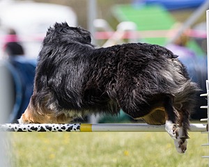 20160514-NEAT-0775.jpg