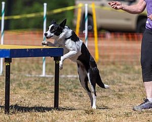 20160619-CCKC-1683.jpg