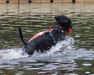 Tessa Ellery