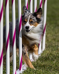 20230916-PVKC-1245.jpg
