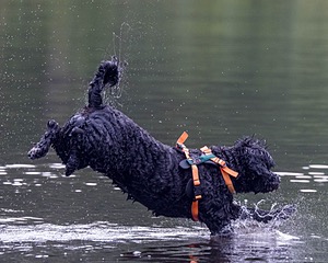 Rio Abbruzzese