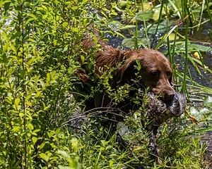 20170716-WCXW-1266.jpg