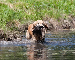 20130602-SEAW-0468.jpg