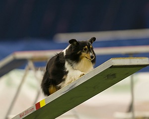 20150321-LEAP-1670.jpg