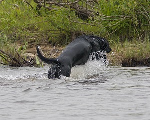 20080531-HRW-0849.jpg