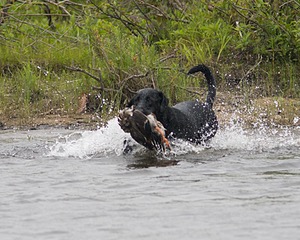 20080531-HRW-0865.jpg