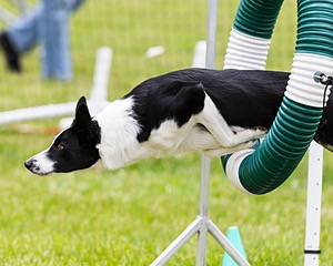 20160515-NEAT-0660.jpg
