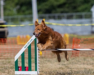 20160619-CCKC-1372.jpg