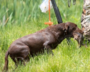 20160604-SEAW-0018.jpg
