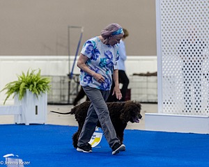 R26 - CH CUBOGLACH ROSY MAPLE RAE CAA BCAT SWME RATS DJ DN CGC TKN FTN