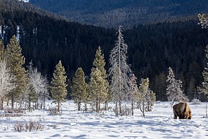 20220130-0510.jpg