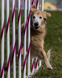 20230916-PVKC-1189.jpg