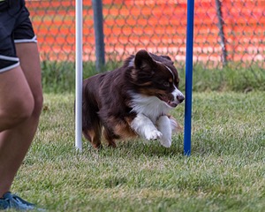 20200819-2813.jpg