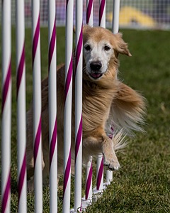 20230916-PVKC-1188.jpg