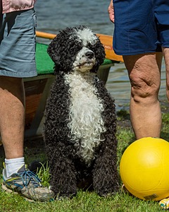 20170820-A-0007.jpg