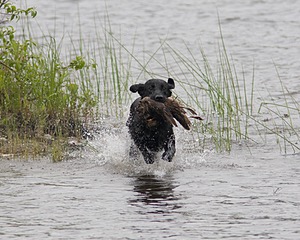 20080531-HRW-0659.jpg