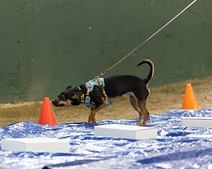 20260718-NSKC-0018.jpg