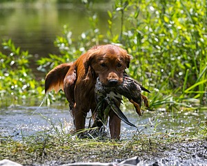 20130714-MHB2-0089.jpg