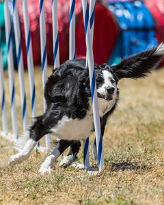 20160618-CCKC-1546.jpg