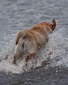 20080601-SRW-0570.jpg