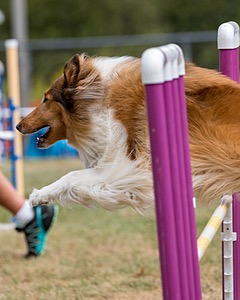 20200819-1425.jpg