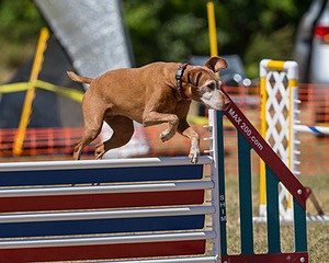 20160619-CCKC-1410.jpg